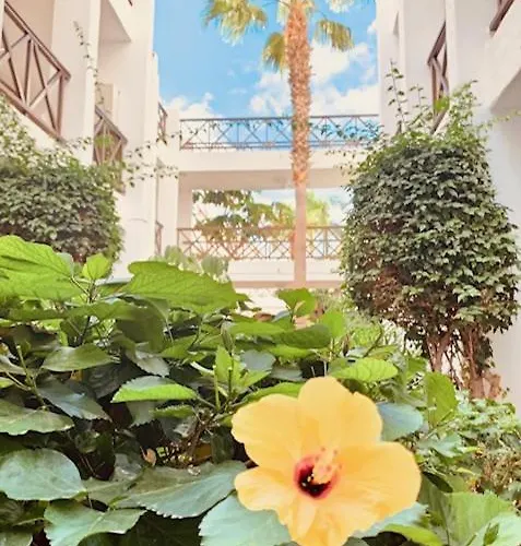 Apartmán Santiago Flat - Duplex